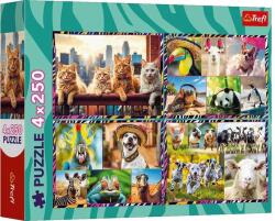 Trefl 4 x 250 db-os puzzle - Mókás állatok (13313) (13313)