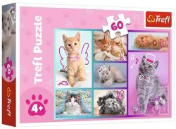 Trefl 60 db-os puzzle - Aranyos cicák (17373) (17373)