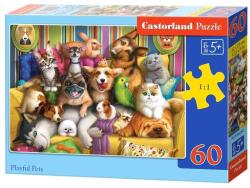 Castorland 60 db-os puzzle - Játékos kiskedvencek (B-066254) (B-066254)