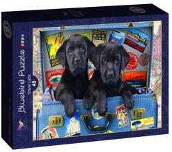 Bluebird Puzzle Kids 48 db-os puzzle - Travel Labs (90053) (90053)
