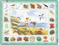 Larsen Maxi Puzzle 48 db-os - Természet - Tengerparti élővilág (NA2HU) (NA2HU)