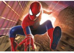 Spiderman Poszter New Web, 61x90cm, poster1172, Többszínű (poster1172-7777777777777787209)