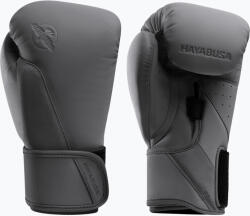 Hayabusa Mănuși de box Hayabusa T360 Boxing charcoal
