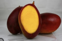  Mango Palmer Rosu 2kg Import Brasilia