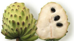 Atemoya Bio Import Brazilia Cutie 1kg