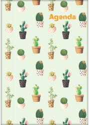 Dayliner Határidőnapló Colors A5 heti, fehér lapokkal Cactus Dayliner 2026 (57730) - irodasziget