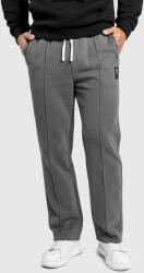 Iron Aesthetics Férfi melegítőnadrág Iron Aesthetics Prestige, szürke: 2XL Szürke