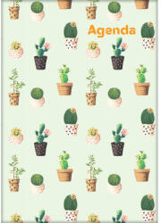 Dayliner Határidőnapló Colors A5 heti, fehér lapokkal Cactus Dayliner 2026 (DL6AG-COFA5HE-CC) - iroszer24