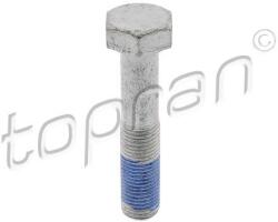 TOPRAN Surub fulie TOPRAN EHVP 723 934 (723 934)