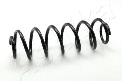 ASHIKA Arc spiral ASHIKA ZCA5543H (ZCA5543H) - automobilus