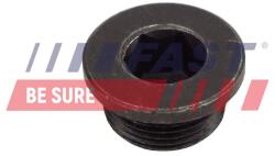 FAST surub de golire, baia de ulei FAST FT94717 (FT94717)