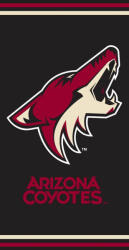 Tiptrade S. R. O Prosop NHL Arizona Coyotes Prosop