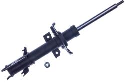 Denckermann amortizor DENCKERMANN DSB561G (DSB561G)