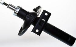 Denckermann amortizor DENCKERMANN DSB124G (DSB124G)