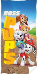 Carbotex Prosop pentru copii Paw Patrol Liberty Skye Everest și Marshall Prosop