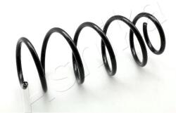 ASHIKA Arc spiral ASHIKA ZCA2958H (ZCA2958H) - automobilus
