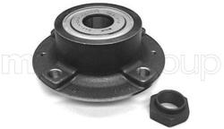 METELLI Set rulment roata METELLI 19-2668 (19-2668)