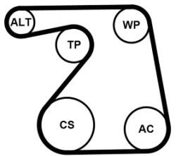 Continental Ctam Pompa apa + Set curea transmisie cu caneluri CONTINENTAL CTAM 6PK1360WP1 (6PK1360WP1)