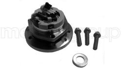METELLI Set rulment roata METELLI 19-2295 (19-2295)