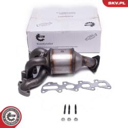 ESEN SKV Catalizator ESEN SKV 62SKV029 (62SKV029)