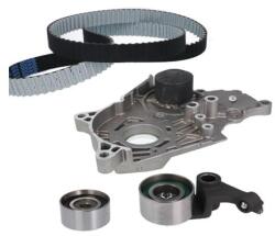 METELLI Set pompa apa + curea dintata METELLI 30-0961-1 (30-0961-1)