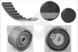 HUTCHINSON Set curea de distributie HUTCHINSON KH 256 (KH 256)
