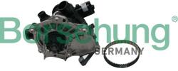 BORSEHUNG Pompă de apă, răcire motor BORSEHUNG B19205 (B19205)