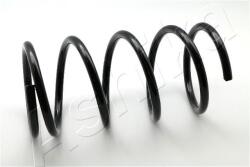 ASHIKA Arc spiral ASHIKA ZCA3119A (ZCA3119A) - automobilus