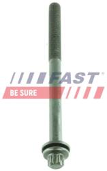 FAST surub chiulasa FAST FT51502 (FT51502)