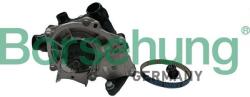 BORSEHUNG Pompă de apă, răcire motor BORSEHUNG B11210 (B11210)