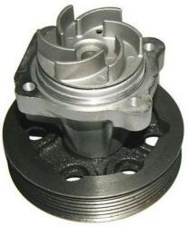 Denckermann Pompă de apă, răcire motor DENCKERMANN A310509P (A310509P)