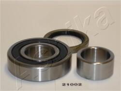 ASHIKA Set rulment roata ASHIKA 44-21002 (44-21002)