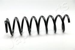JAPANPARTS Arc spiral JAPANPARTS ZC3163G (ZC3163G)