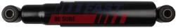 FAST amortizor FAST FT11146 (FT11146)