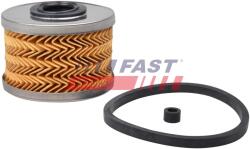 FAST filtru combustibil FAST FT39070 (FT39070)
