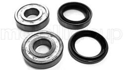 METELLI Set rulment roata METELLI 19-7094 (19-7094)
