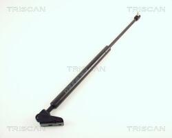 TRISCAN Amortizor portbagaj TRISCAN 8710 50209 (8710 50209)