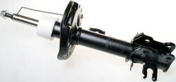 Denckermann amortizor DENCKERMANN DSB262G (DSB262G)