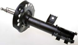 Denckermann amortizor DENCKERMANN DSB103G (DSB103G)