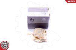ESEN SKV incuietoare usa ESEN SKV 16SKV071 (16SKV071)