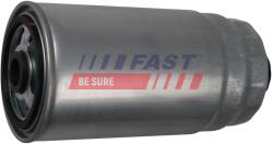 FAST filtru combustibil FAST FT39015 (FT39015)