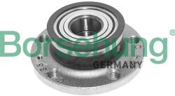 BORSEHUNG Set rulment roata BORSEHUNG B15624 (B15624) - automobilus