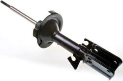 Denckermann amortizor DENCKERMANN DSB024G (DSB024G) - automobilus