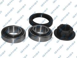 GSP Set rulment roata GSP GK3666 (GK3666)