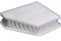 ASHIKA Filtru aer ASHIKA 20-02-262 (20-02-262) - automobilus