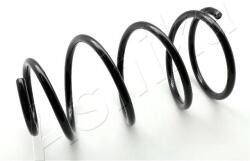 ASHIKA Arc spiral ASHIKA ZCA2899I (ZCA2899I) - automobilus