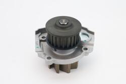 Continental Ctam Pompă de apă, răcire motor CONTINENTAL CTAM WP6042 (WP6042)