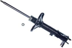 Denckermann amortizor DENCKERMANN DSB529G (DSB529G)