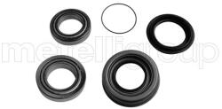 METELLI Set rulment roata METELLI 19-7711 (19-7711)