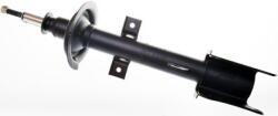 Denckermann amortizor DENCKERMANN DSB189G (DSB189G) - automobilus